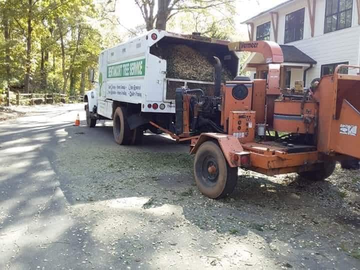 Bentancort Tree Service team