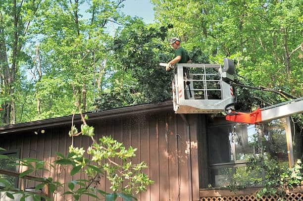 Lot clearing service